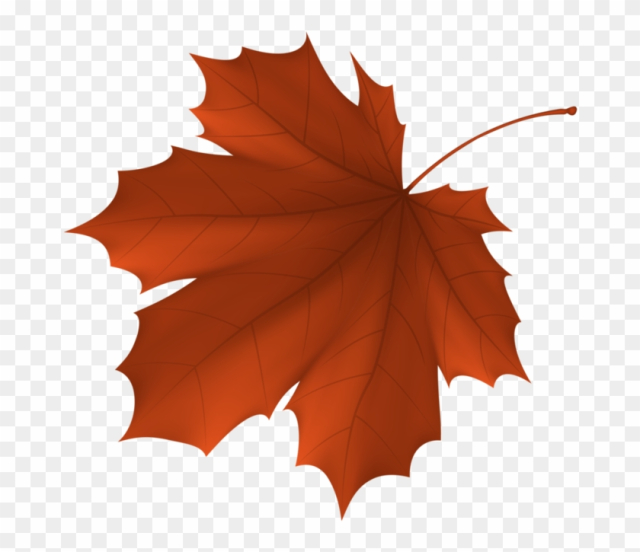 Autumn Leaf Color Maple Leaf - Autumn Leaf Color Maple Leaf