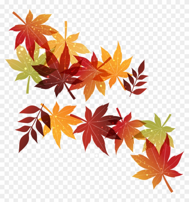 Autumn Maple Leaf - Autumn Maple Leaf