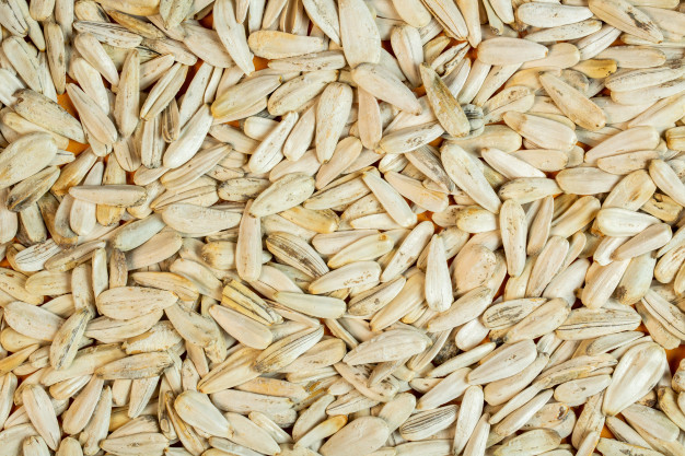 Background of white sunflower seeds top view Free Photo