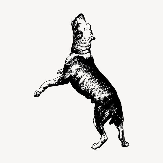 Barking dog clipart, vintage animal | Free Vector - rawpixel