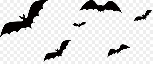 Bat Halloween - bat