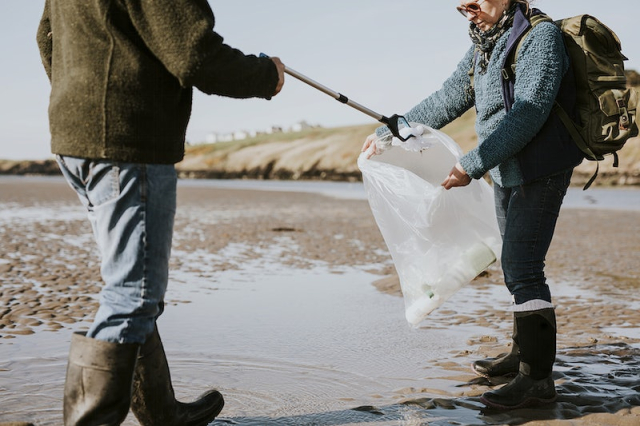 Beach cleanup volunteers picking up trash | Free Photo - rawpixel