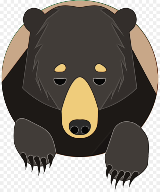 bear brown bear cartoon american black bear sun bear