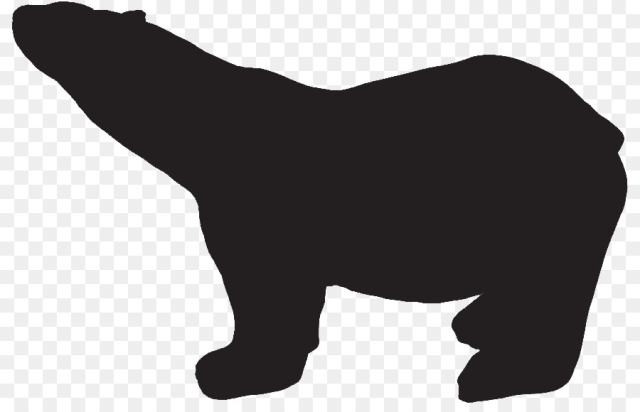 Bear, Polar Bear, Brown Bear, Animal Figure PNG