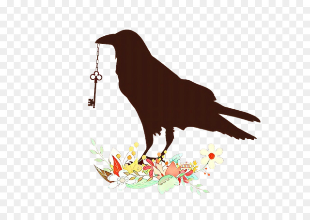 bird beak crow perching bird raven