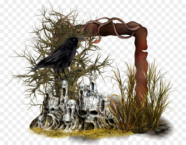 Bird - bird