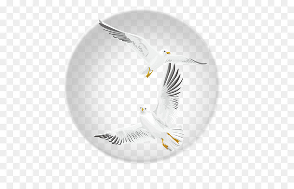 Bird flight Bird flight - Bubble flying bird