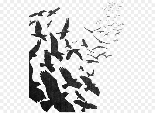Bird flight Bird flight Common raven Flock - Watercolor Crow