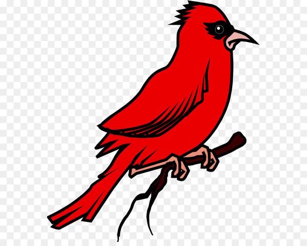 Bird Food Bird Baths Northern cardinal Animal - bird