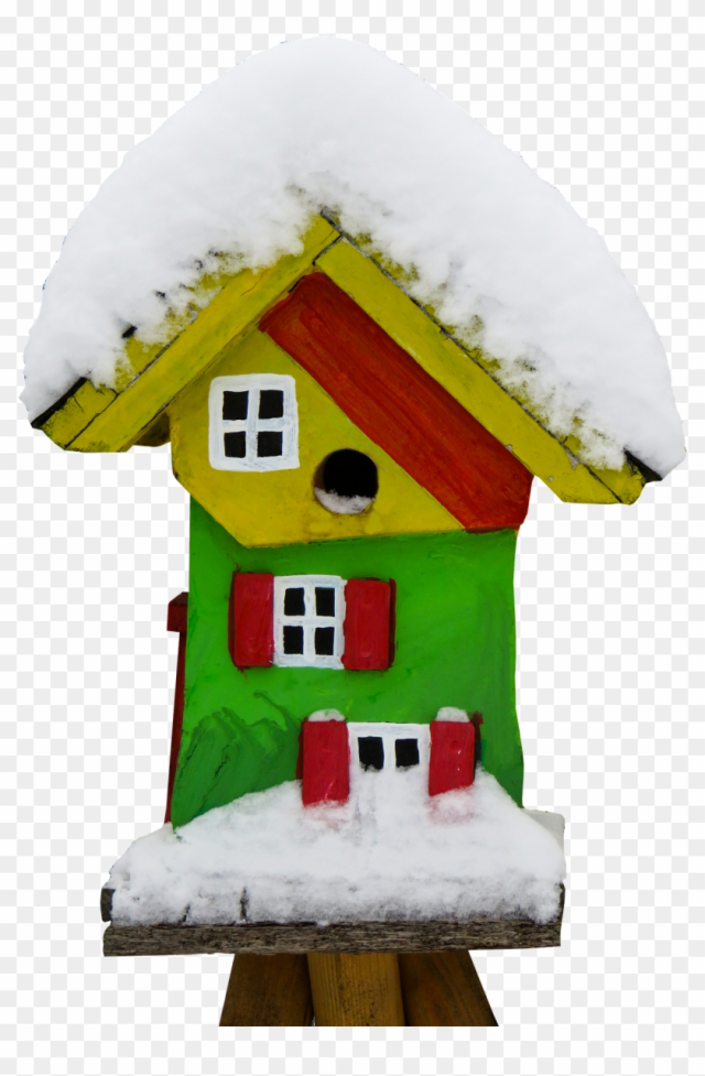 Bird House - Bird Food