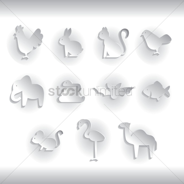 Birds and animals
