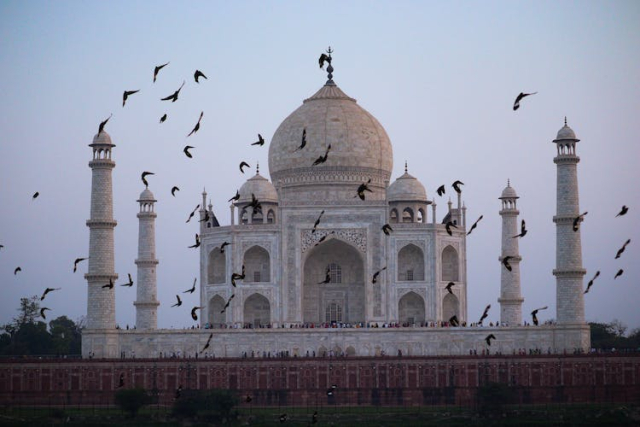 Birds Flying around Taj Mahal