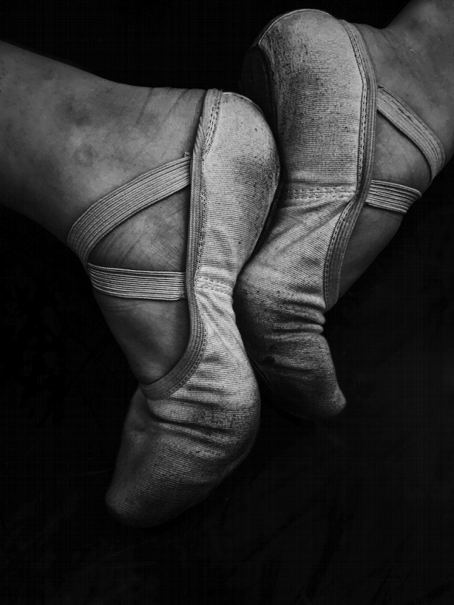 Black and white macro of pair | Free Photo - rawpixel