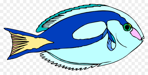 Blue Tang Ornamental fish Drawing Clip art - fish