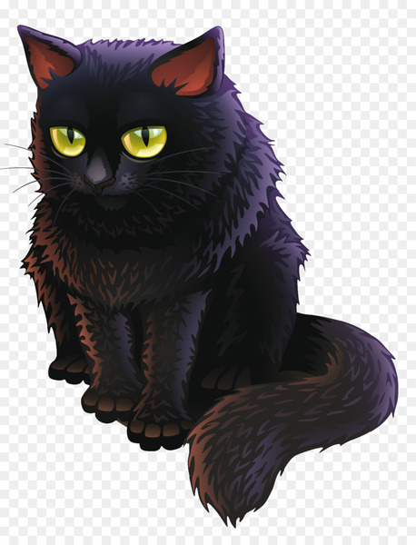 Bombay cat Black cat Kitten - Witch Cat