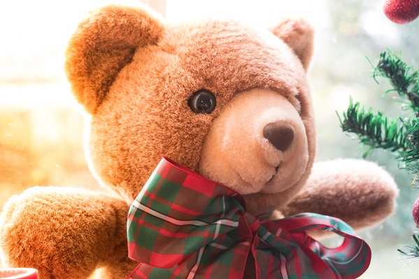 Brown Bear Plush Toy