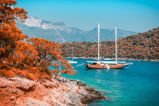 Brown Boat