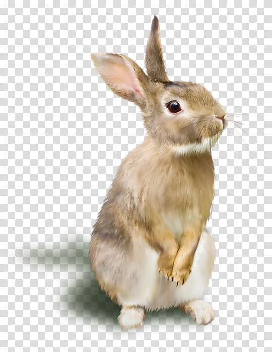 Free: Brown rabbit illustration, Rabbit Raster graphics RGB color model ...