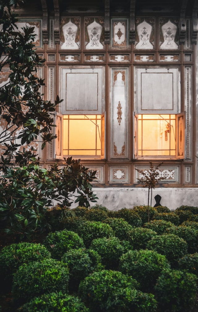 Bushes near Building Windows