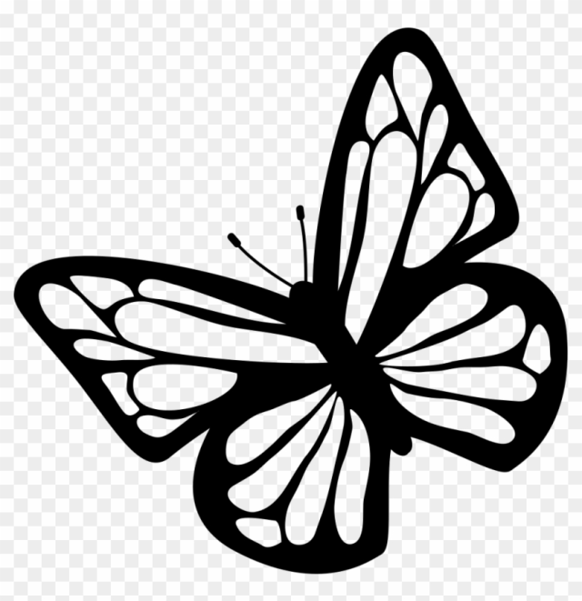 Butterfly Black And White Clipart Download Free Images - Butterfly Svg Files Free