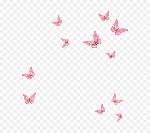 Butterfly - butterfly