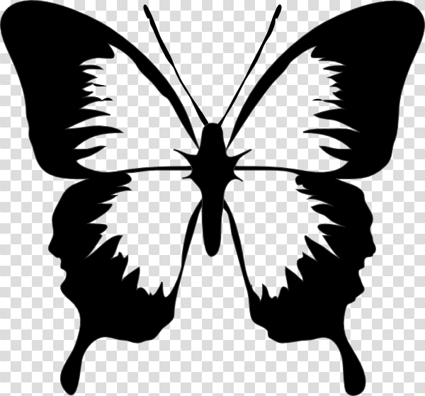 BUTTERFLY CLIP ART | Cricut ideas | Butterfly clip art, Butterfly ...