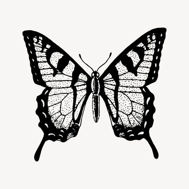 Butterfly clipart, vintage insect illustration | Free Vector - rawpixel