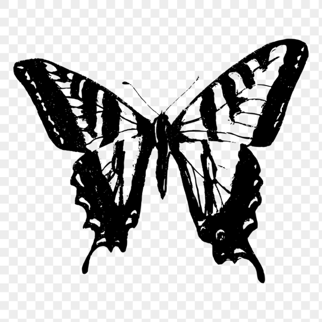 Butterfly png sticker, vintage insect | Free PNG - rawpixel