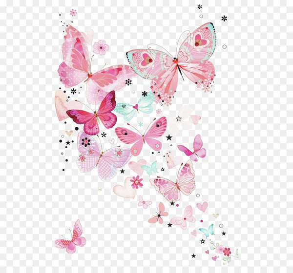 Butterfly Wallpaper - butterfly