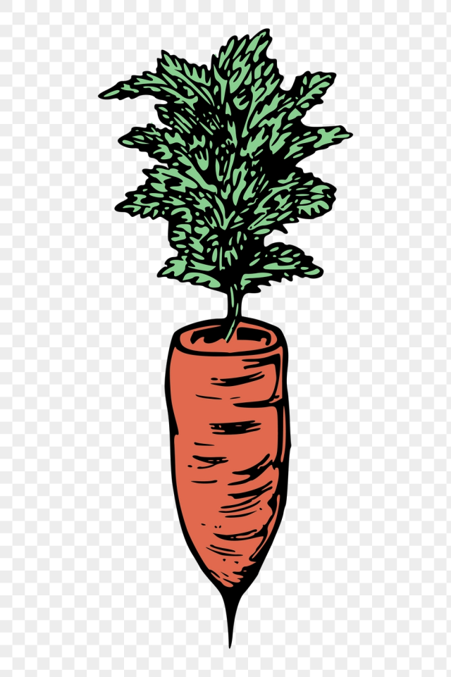 Carrot png sticker, vintage vegetable | Free PNG - rawpixel