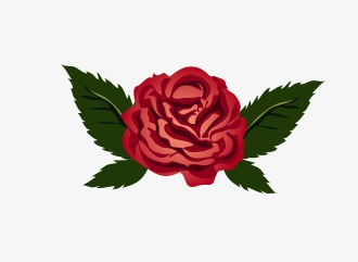 Cartoon Rose, Cartoon Clipart, Rose Clipart, Cartoon PNG ...