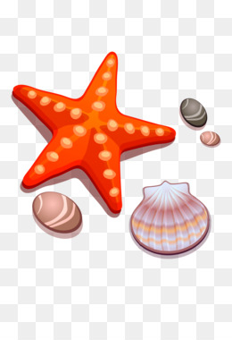 Cartoon Starfish PNG - Cartoon, Cartoons, Cartoon Couple, Cartoon ...