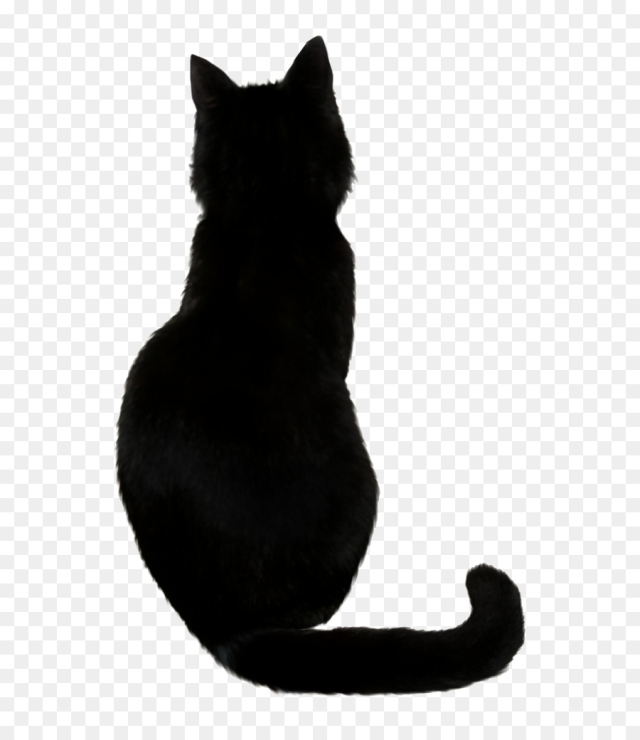 Cat, Black Cat, Silhouette PNG