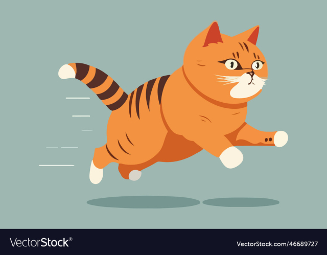 cat running
