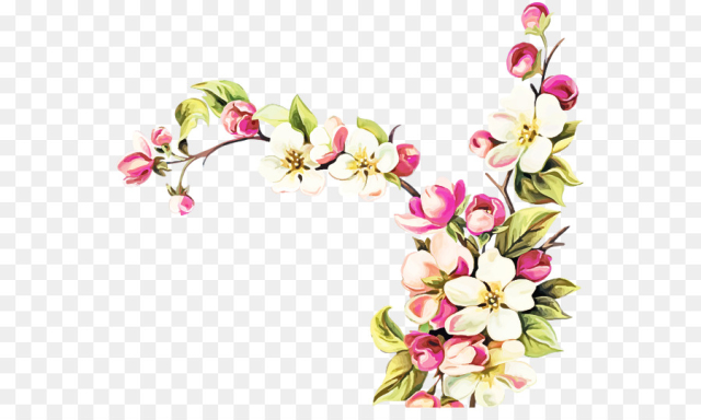 Cherry blossom