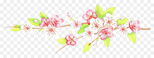 Cherry blossom