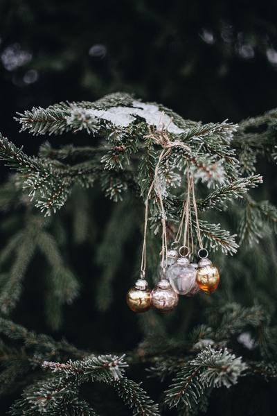 Chic holiday decor