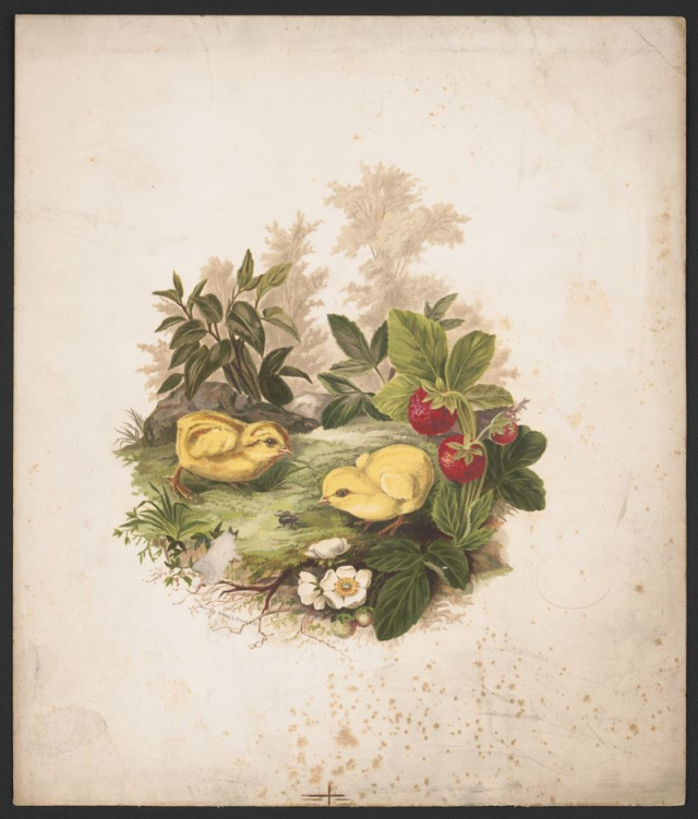 Chickens and strawberries (1875) by Whitney, | Free Photo - rawpixel