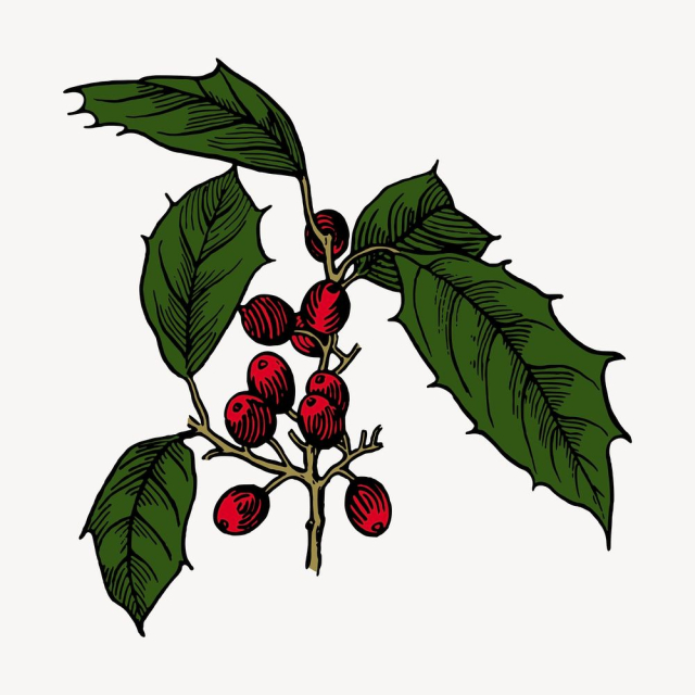Christmas berry clipart, vintage decoration | Free Vector - rawpixel
