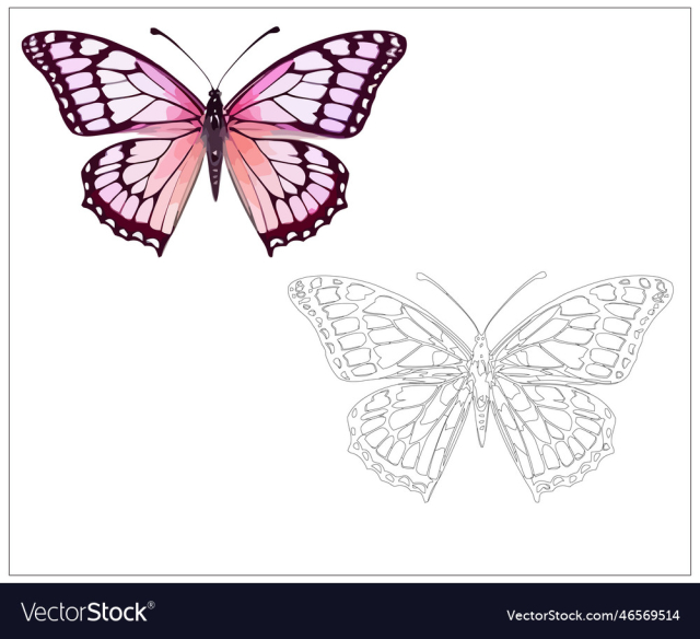 colorful butterfly art for kids coloring
