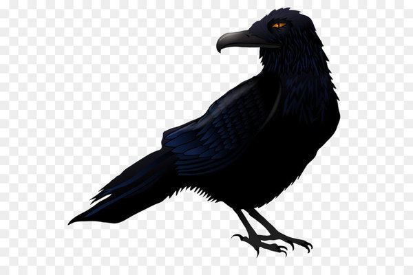 Common raven Bird Clip art - Haunted Raven PNG Vector Clipart