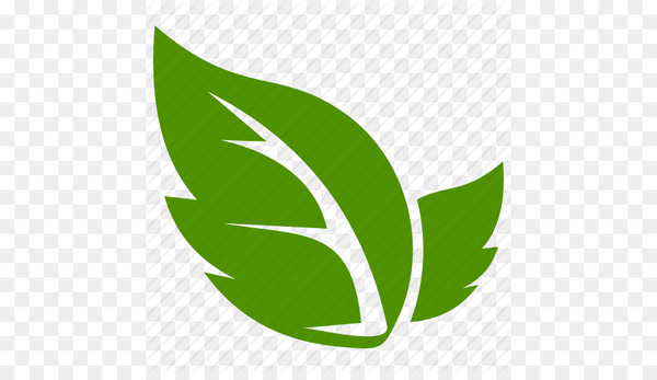 Free: Computer Icons Leaf Clip art - Leaf, Leave Icon Png - nohat.cc
