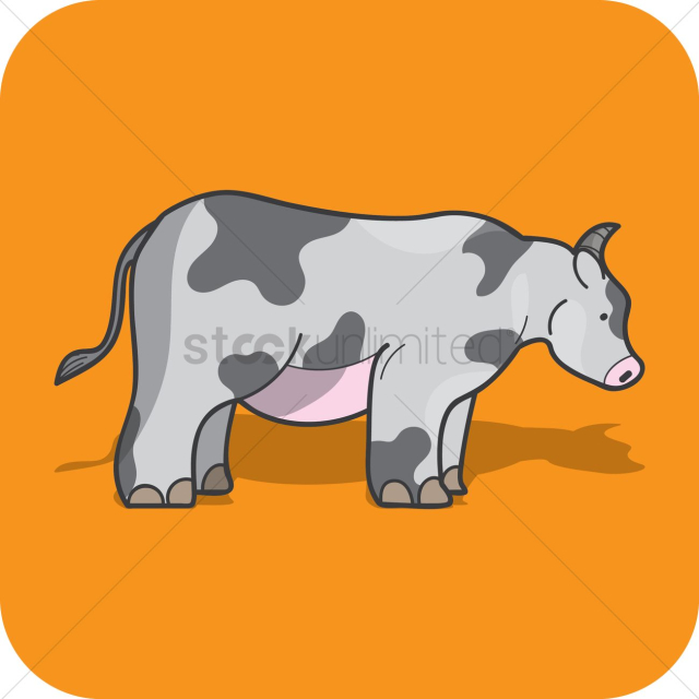 Cow