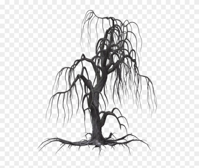 Creepy Tree 19 By Wolverine041269 On Clipart Library - Creepy Tree Drawing