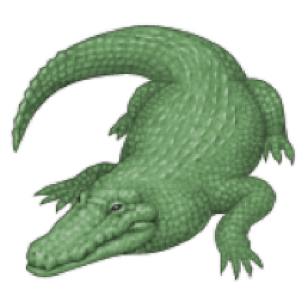Crocodile Alligator iPhone Emoji Quiz - crocodile