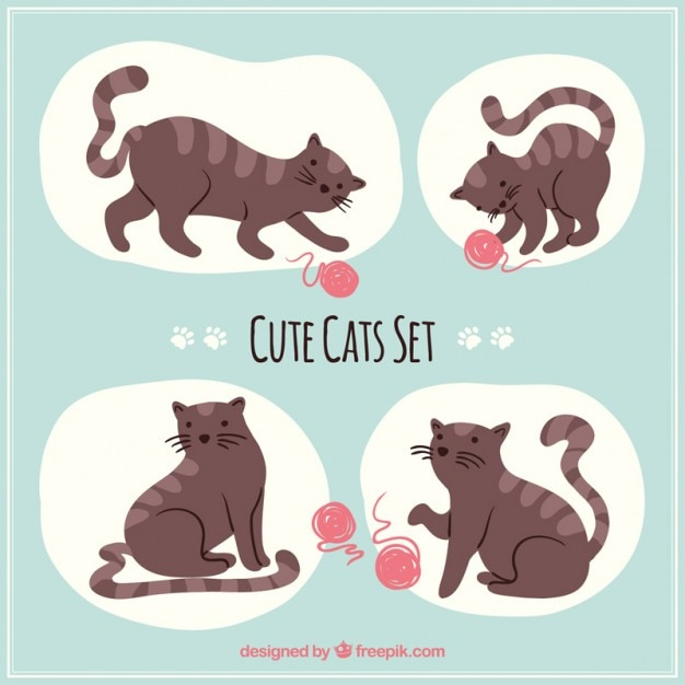 Cute Cat Set