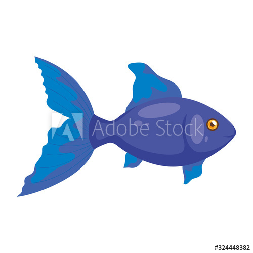 cute fish animal design