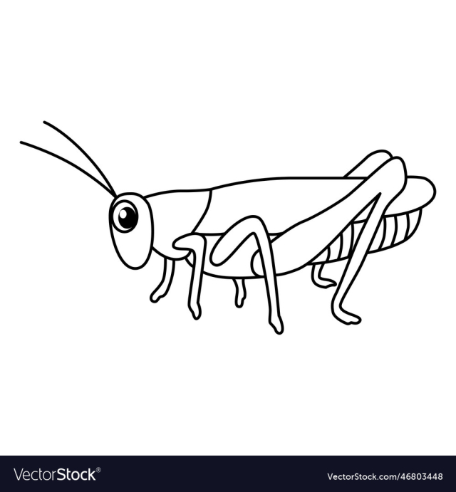 cute grasshopper cartoon coloring page
