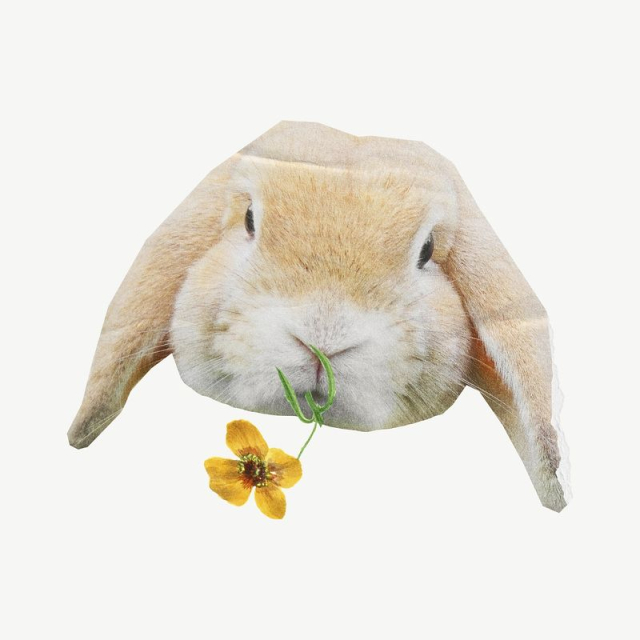 Free: Cute rabbit, flower collage element | Free PSD - rawpixel - nohat.cc