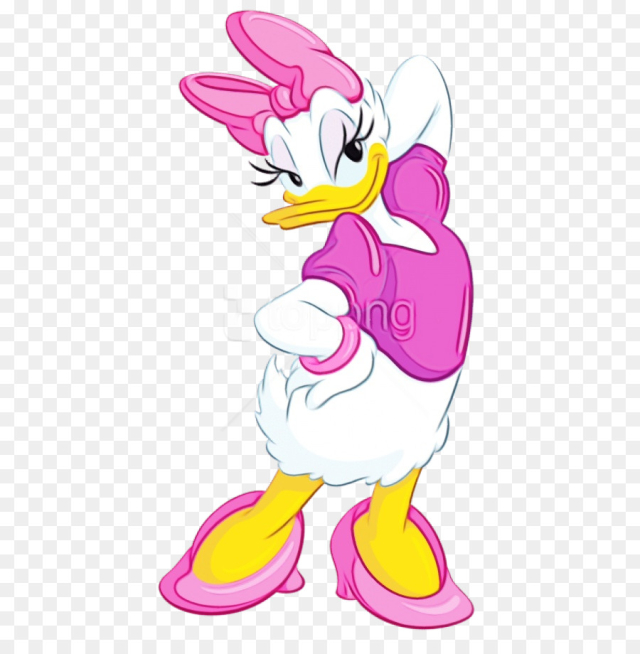 Daisy Duck, Donald Duck, Duck, White, Cartoon PNG